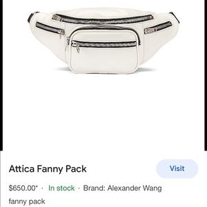 Alexander Wang mini Fanny pack white